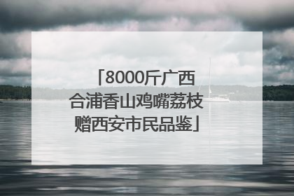 8000斤广西合浦香山鸡嘴荔枝赠西安市民品鉴
