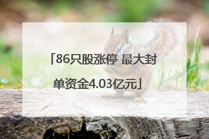86只股涨停 最大封单资金4.03亿元