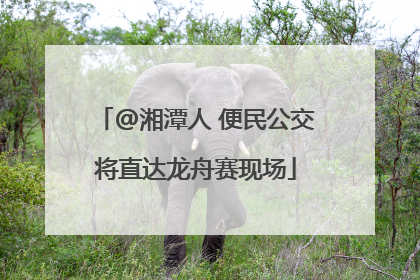 @湘潭人 便民公交将直达龙舟赛现场