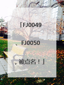 FJ0049、FJ0050，被点名！