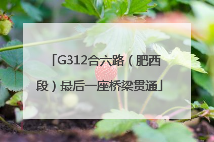 G312合六路（肥西段）最后一座桥梁贯通