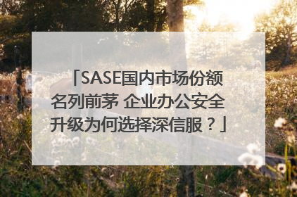 SASE国内市场份额名列前茅 企业办公安全升级为何选择深信服？